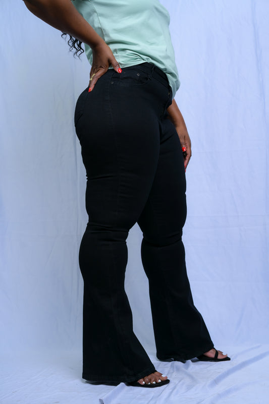 Repeat Offender Flair Jeans - J100044